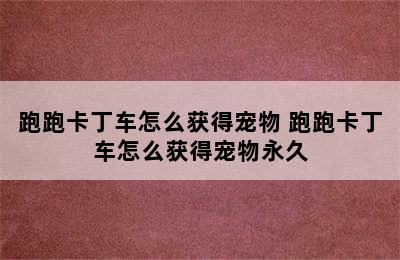 跑跑卡丁车怎么获得宠物 跑跑卡丁车怎么获得宠物永久